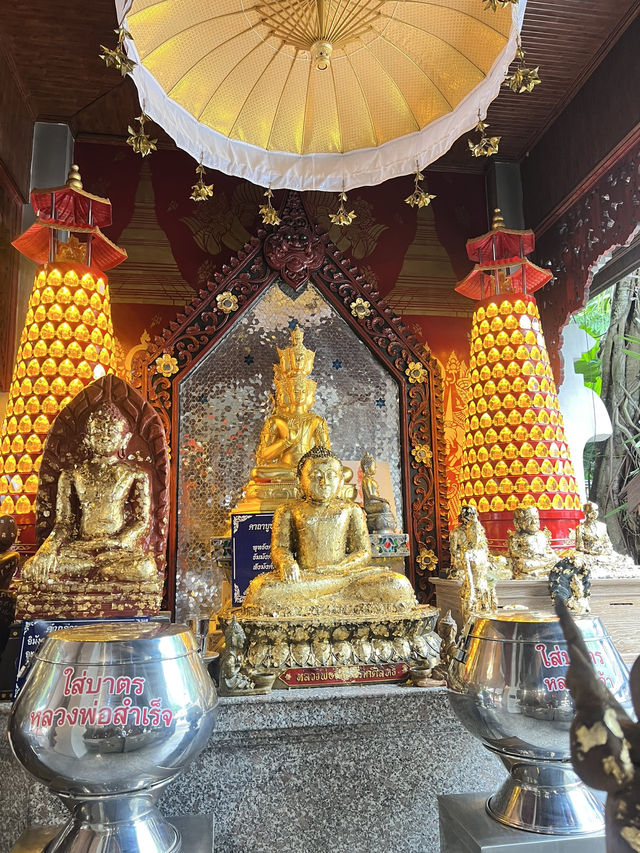 สายมูเชียงใหม่ ห้ามพลาด ✨