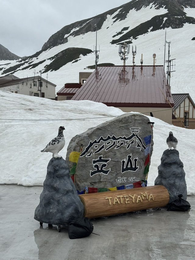 8日7夜 名古屋 立山黑部 飛驒之旅