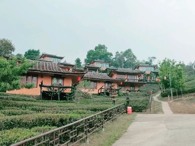ลีไวน์รักไทย รีสอร์ท จ.แม่ฮ่องสอน 🛖🏞
