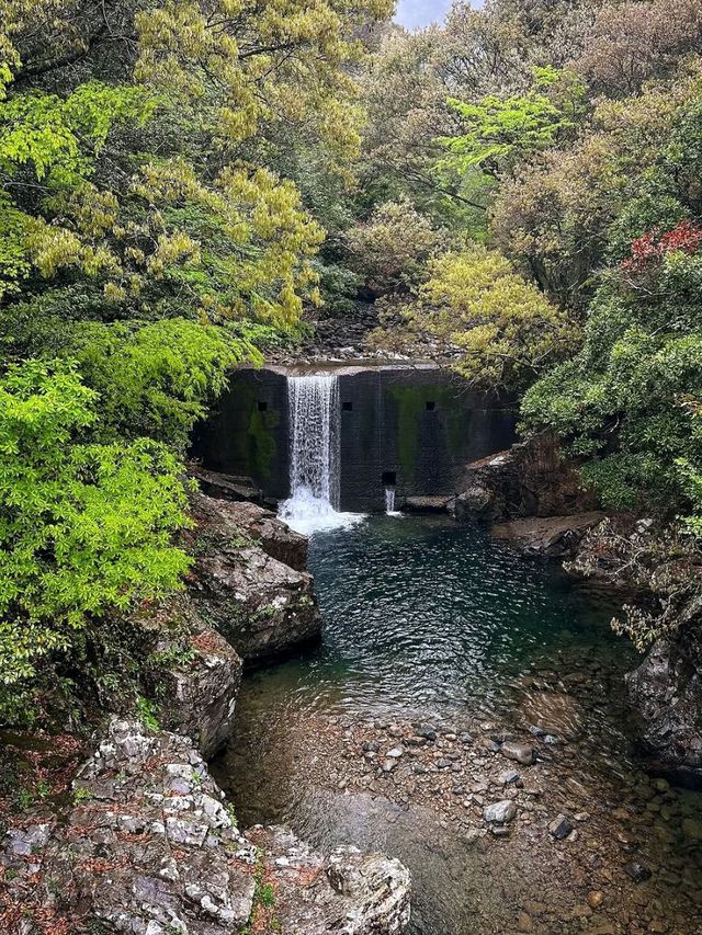 Mini Hike, Major Vibes