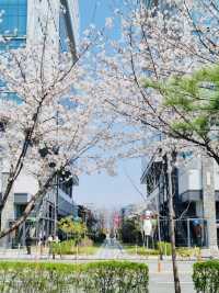 A Rosy Walk to Work: My Thoughts on Siggak Park (No. 3 Neighborhood Park)