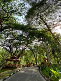 A Tranquil Green Stroll to End the Day at Penang Botanical Garden