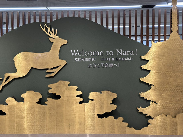 Day trip from Osaka to Nara