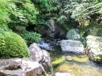 【島根県】 世界が称賛した庭園日本一を誇る美術館『足立美術館』