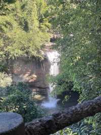 KHAO YAI national park 
