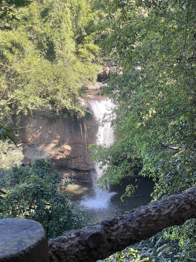 KHAO YAI national park 