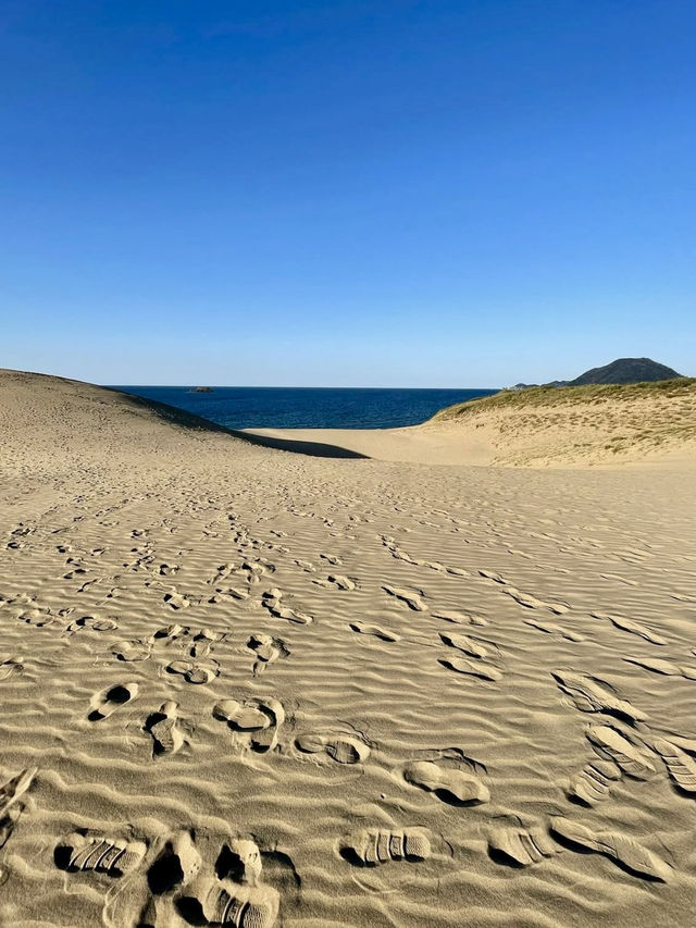 A Day of Desert Adventures in Tottori 🏜️✨