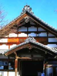 Sanzen-in – A Hidden Temple Garden in the Hills of Ohara