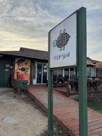 🏄‍♂️양양 남애항 맛집 야외카페 거북이서프바🪸