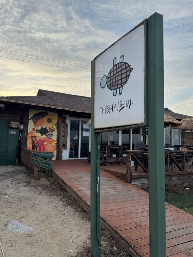 🏄‍♂️양양 남애항 맛집 야외카페 거북이서프바🪸