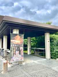 Kyoto Slow Stroll — Feel the Breeze and Culture of the Ancient Capital 🌿⛩️