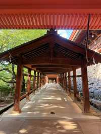 岡山｜溫羅打鬼的吉備津彥就是桃太郎？ 日本第二大神社吉備津神社 
