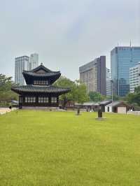 여름 날 선선하게 걷기 좋은 서울 도심속 궁궐🌳💛
