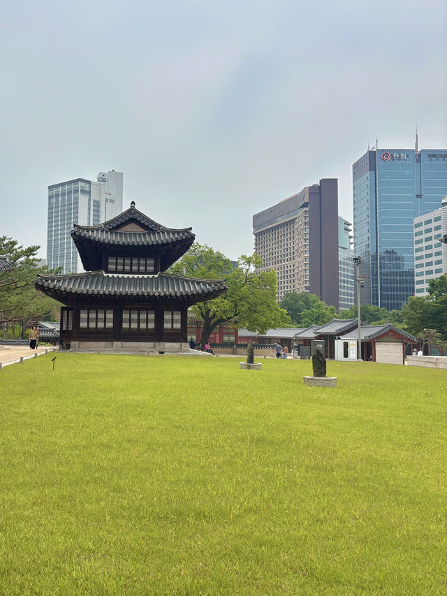 여름 날 선선하게 걷기 좋은 서울 도심속 궁궐🌳💛