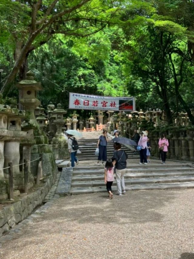 【奈良】世界遺産　春日大社（かすがたいしゃ）