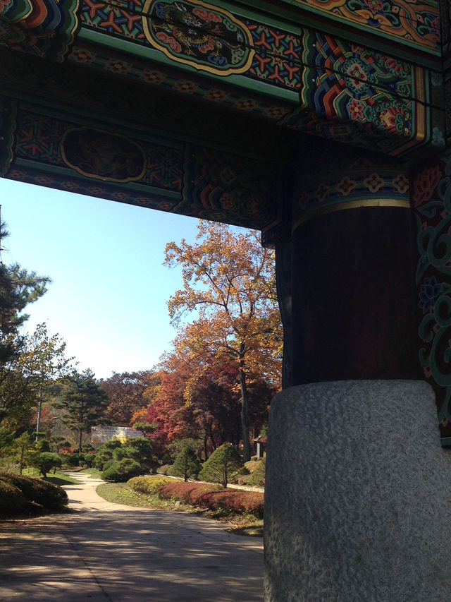 운악산 봉선사와 국화