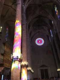 【スペイン】息を呑む美しさパルマ大聖堂⛪️