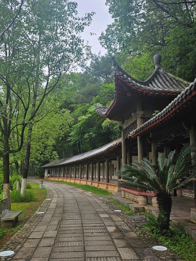 A day trip to Jingdezhen - Capital city of porcelain 