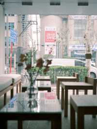 🌳🫧홍대 동교동 카페 분위기 좋은 휴식공간 소각커피