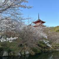 Otowa Waterfall in 2026
