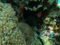 Once in a lifetime go visit Labuan Bajo 