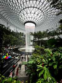 A Mesmerizing Oasis – Jewel Changi’s Rain Vortex