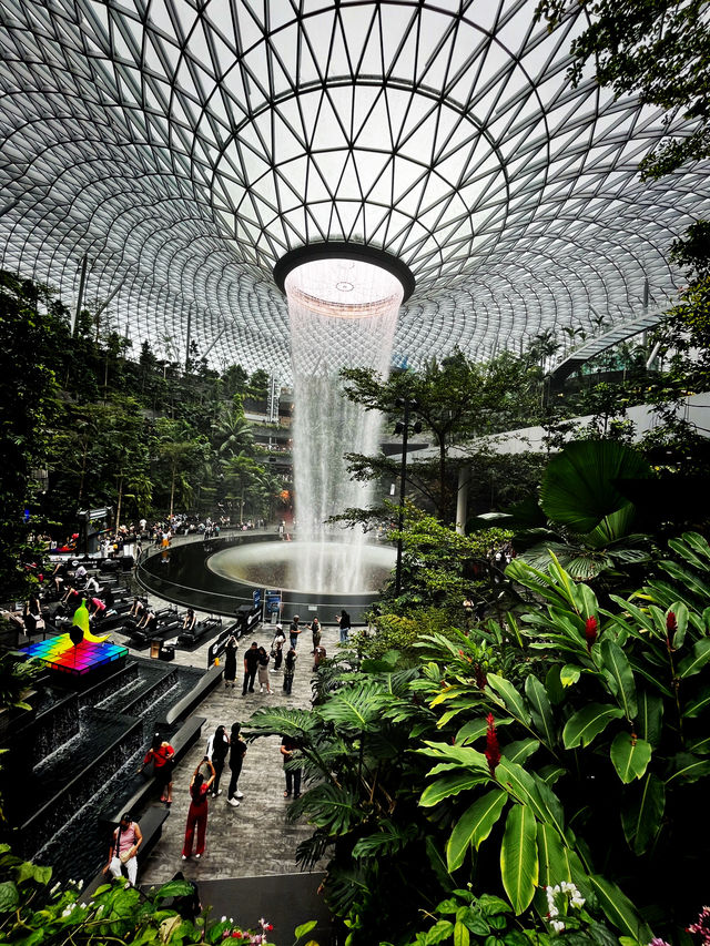 A Mesmerizing Oasis – Jewel Changi’s Rain Vortex