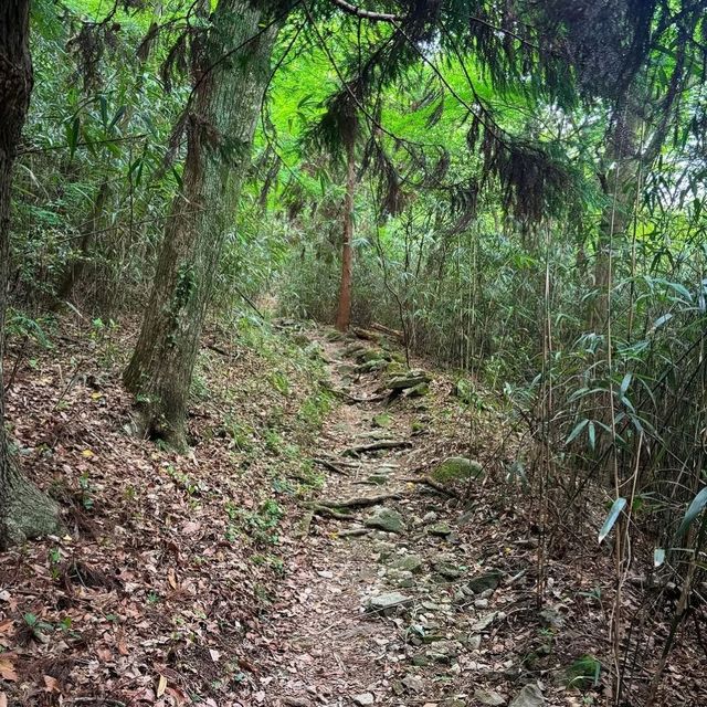 Hike, Cool Views, Zero Drama