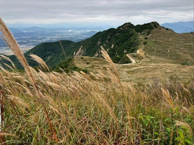 Hiking Hwawangsan, Sweaty, Scenic, and So Worth It
