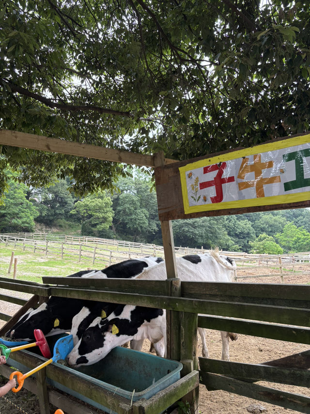 《愛知県》子供連れにも◎乗馬体験や餌やり体験ができる愛知牧場