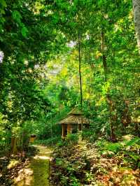 🏞️ : น้ำตกเฉลิมพระเกียรติ ร.9 เที่ยวเบตง ยะลา