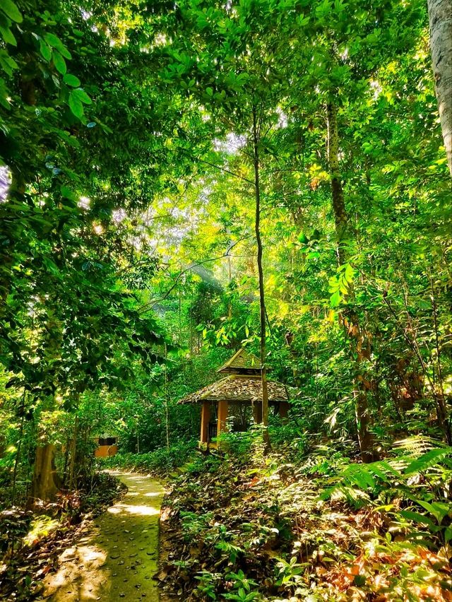 🏞️ : น้ำตกเฉลิมพระเกียรติ ร.9 เที่ยวเบตง ยะลา