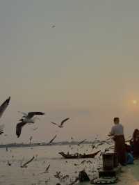 🌇 Chasing Sunsets & Feeding Birds at Botataung Jetty