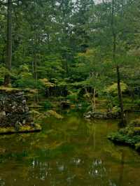 京都·西芳寺｜記憶裡的雨中苔島