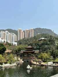 A Tranquil and Budget-Friendly Oasis – Nan Lian Garden, Hong Kong