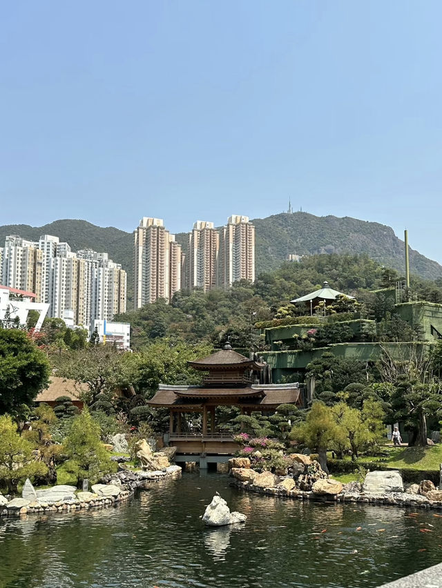 A Tranquil and Budget-Friendly Oasis – Nan Lian Garden, Hong Kong