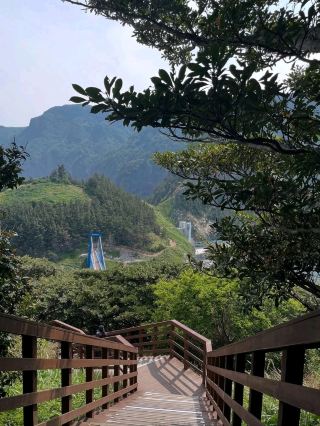 Ulleungdo Trails & That Epic Glimpse of Dokdo