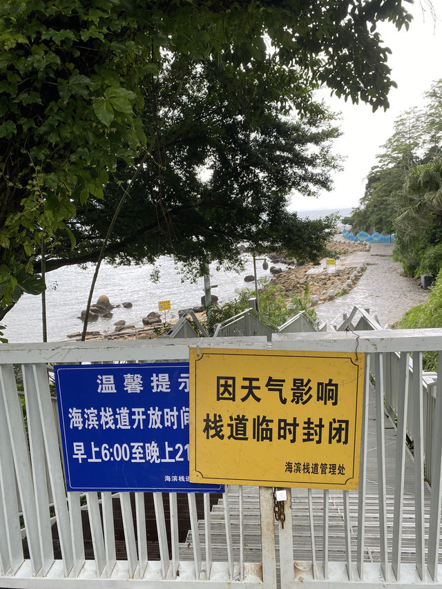在這兒看海，看大梅沙海濱棧道，原來也很美🤩🤩
