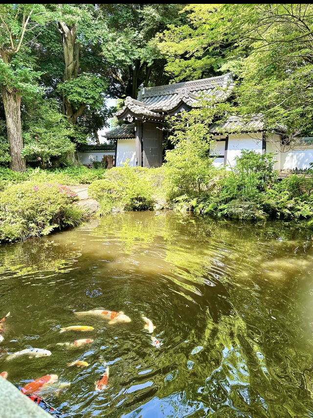 〜東京都〜東京最強穴場スポット！コスパ◎ハナビヨリ
