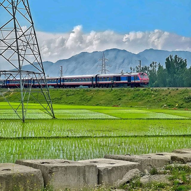 Phases of Kashmir