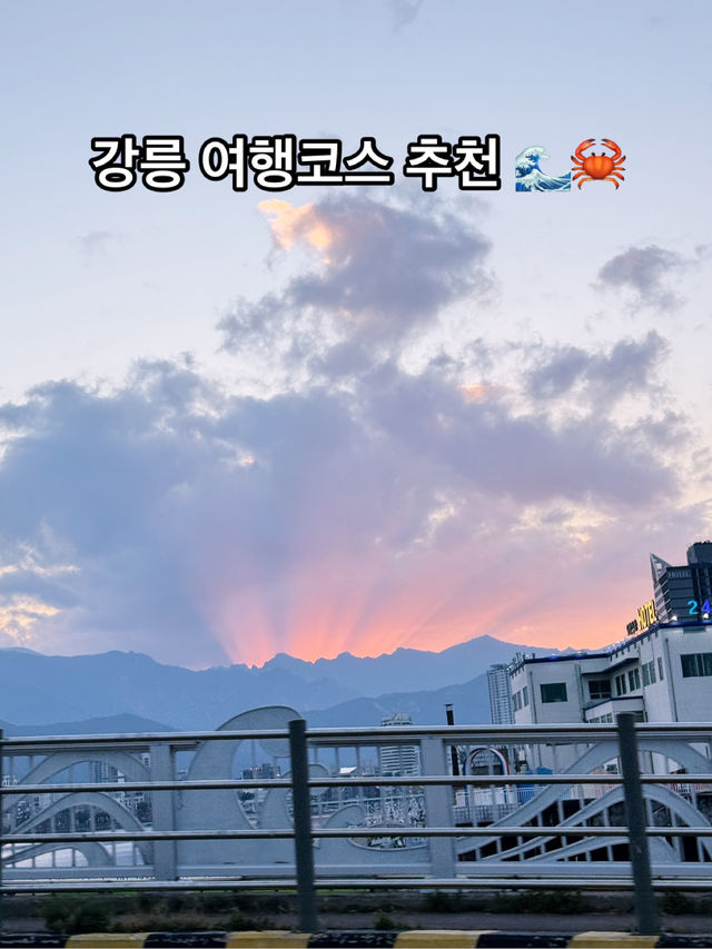 🌊 강릉&속초 먹방 여행코스 완벽 추천