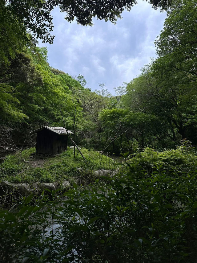 長崎Bio park- 教育與感動兼具的動物園