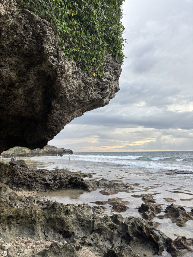 🏖️ 美人沙灘奇遇記：與海龜共舞的秘境之旅