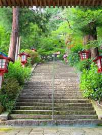 🍇ぶどうと仏の物語。大善寺で心静まる歴史旅⛩️