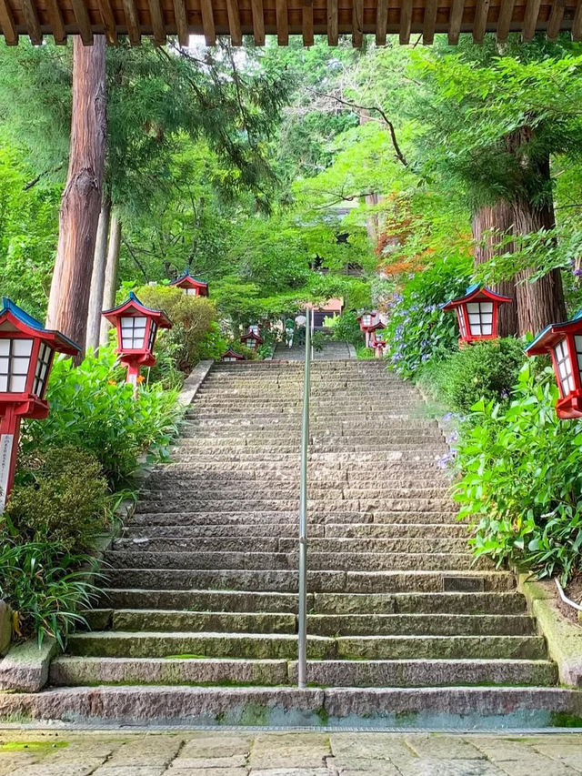 🍇ぶどうと仏の物語。大善寺で心静まる歴史旅⛩️