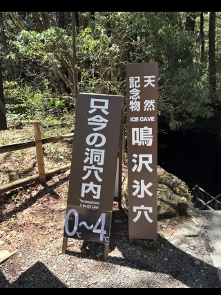 ❄️얼음의 세계로 날아가!