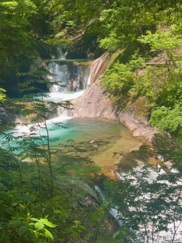 🌊滝と森に癒される絶景トレッキング！西沢渓谷で自然と一体になる旅🍃