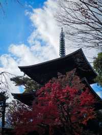 Gotokuji Temple วัดแมวกวัก