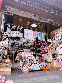 🌊 Dujiangyan Summer Survival Guide