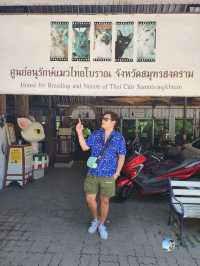 ศูนย์อนุรักษ์แมวไทยโบราณ
